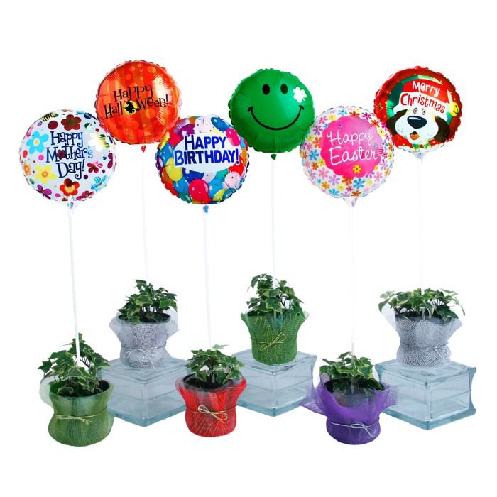 Bulk 2-Piece E-Z Balloon Cup™ & E-Z Balloon Stick | White | 250 pcs x 10 bags (2500 pcs)