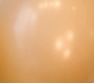 Bulk 5 Inch Latex Balloons | Decorator Beige | 144 pc bag x 10 bags